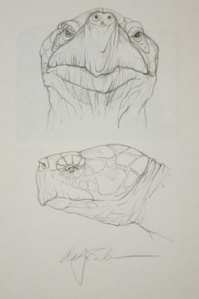 TORTOISES. SIX POEMS BY D. H. LAWRENCE.