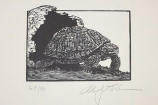 TORTOISES. SIX POEMS BY D. H. LAWRENCE.