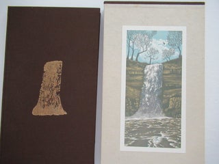 Item #22655 WATERFALLS OF THE MISSISSIPPI. Gaylord Schanilec, Richard Fred Arey