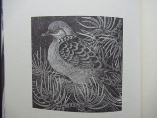 BIBLE BIRDS. Wood Engravings.