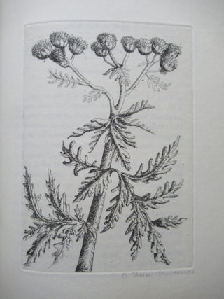 AN HERBARIUM FOR THE FAIR, Being a Book of Common Herbs with Etchings. Together with Curious Notes on their Histories and Uses for the Furtherance of Loveliness and Love by Thomas Fassam.
