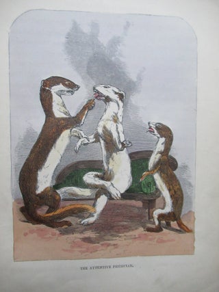 THE COMICAL CREATURES ROM WURTEMBERG. INCLUDING THE STORY OF REYNARD THE FOX.