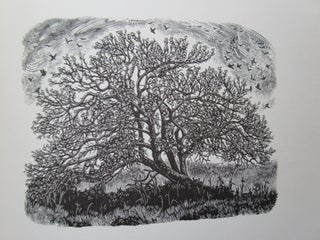 Item #23099 DIARY OF AN APPLE TREE. Miriam Macgregor