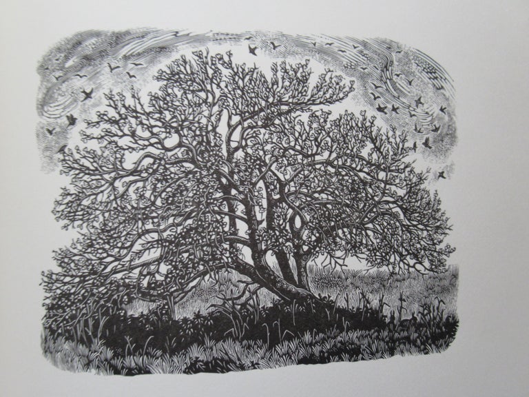 Item #23099 DIARY OF AN APPLE TREE. Miriam Macgregor.