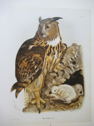 BIBLIOTHEQUE MARCEL JEANSON. Deuxieme Partie: Ornithology.
