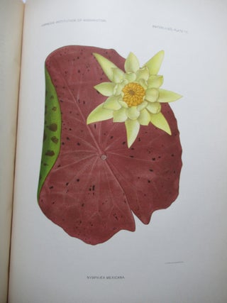 THE WATERLILIES, A MONOGRAPH OF THE GENUS NYMPHAEA.
