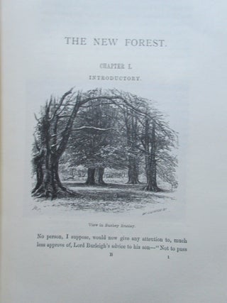 THE NEW FOREST, ITS HISTORY AND ITS SCENERY.