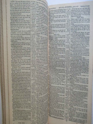 THE ENGLISH VERSION OF THE POLYGLOTT BIBLE.