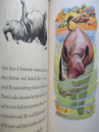 HOW THE RHINOCEROS GOT HIS SKIN, Just So Stories.