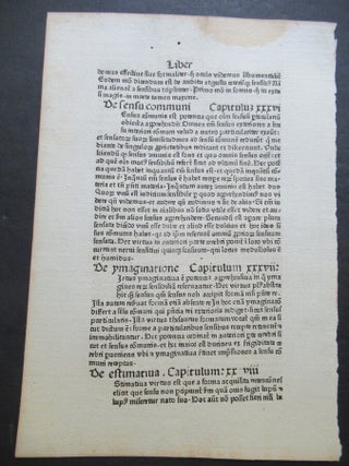 PETER AMELUNG'S JOHANN ZAINER THE ELDER & YOUNGER Translated from the German by Ruth...